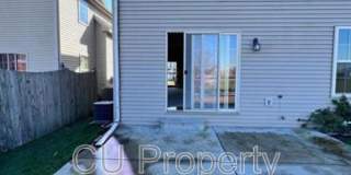 14 Parsley - 1 Gallery 26