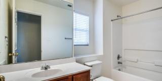 8514 Collingwood Gallery 17