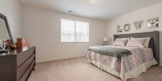 The Amberleigh Gallery 24