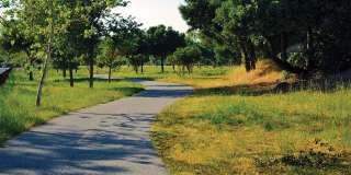 Monterey Grove Apartments Monterey Grove Apartments Gallery 23