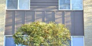 109 Peace St Gallery 12