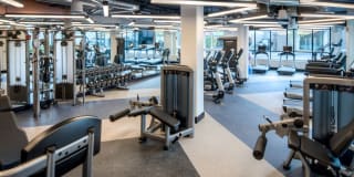 AVA Wheaton Gallery 27