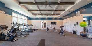 The Aster Gallery 10