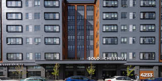 Solo on Chestnut Gallery 38