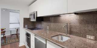 110 East Delaware Place Gallery 17