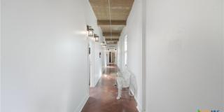 222 Losoya Gallery 2