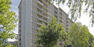 Pioneer Towers Gallery 1
