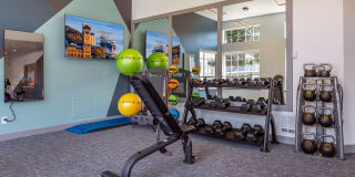 1202 Pearl Gallery 26