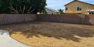 Spacious 3bd home in peoria Gallery 12