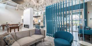 Aster at the Summit Gallery 20