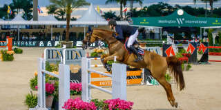 900 Cosmos Court Gallery 47