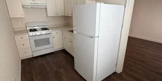 Kensington Garden Gallery 5