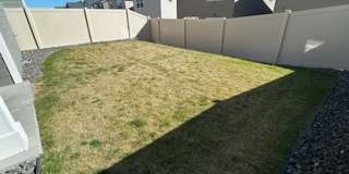 Brand New & Beautiful! 3 bed/2.5 ba + Loft! Fully Fenced Yard, Upgraded Interior Features! Gallery 25
