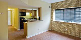 The Ambassador at Library Square Gallery 9