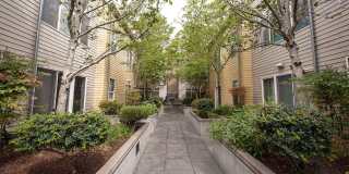 Broadway Place Gallery 8