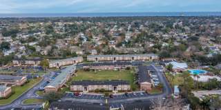Sea Oats Sea Oats Gallery 21