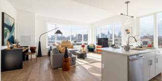 The Carson Gallery 17