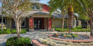 Promenade Terrace Gallery 1