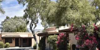 San Xavier Casitas Gallery 22