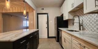 6202 Nottingham Gallery 5