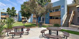 Mariposa Gallery 4