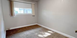 ONE11 COLLECTION - ROYAL OAK Gallery 45