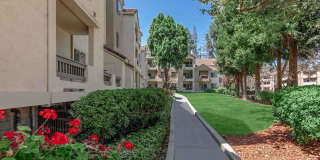 Paloma Vista Apartment Homes Gallery 1