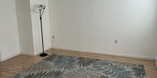 29 Thomas Street Gallery 4
