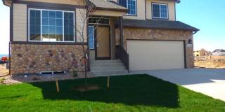 3435 Petrel Drive Gallery 1