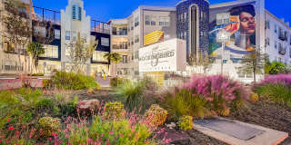 5 Mockingbird Gallery 47