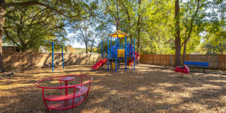 Palmetto Grove Palmetto Grove Gallery 11