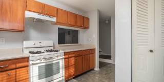 12 Abelia Court Gallery 15
