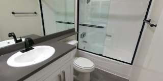 Palms Court Gallery 17