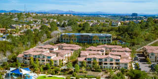 Ocean Air Gallery 27