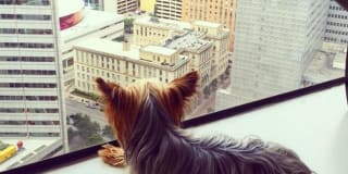 LTV Tower Apartments Gallery 34