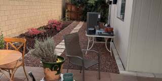 251 S Paseo Laredo Gallery 10