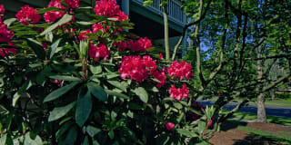 Landmark at Tanasbourne Gallery 21