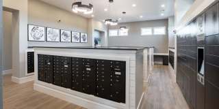 Allora New Forest Gallery 17