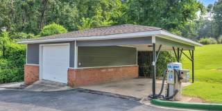 Turtle Lake Gallery 24