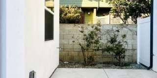 247 1/2 S CATALINA Ave Gallery 23