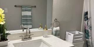 Palms of Clearwater Gallery 73