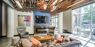 The Cosmopolitan Gallery 34