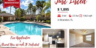 2516 Oleander Lakes Drive Gallery 1