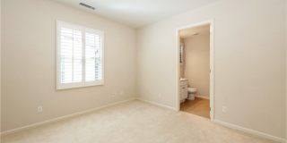 86 Strawberry Gallery 3