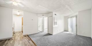 Desert Springs Gallery 24