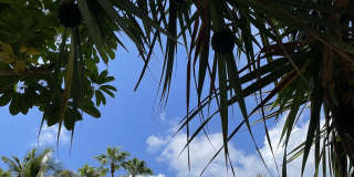 5880 Midnight Pass Road Gallery 46