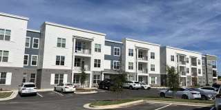 The Belle at the Lamar Gallery 1