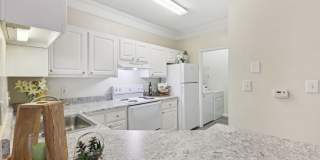 The Paxton Gallery 8