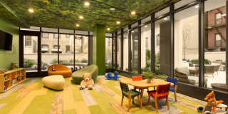 Dahlia Gallery 11