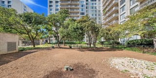 Crystal Plaza Apartments Gallery 6
